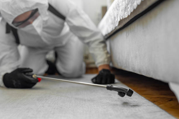 Professional Ant Control technician working in Florida City, FL
