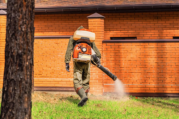Trusted Emergency Pest Control service in Florida City, FL - Nex Pest Control